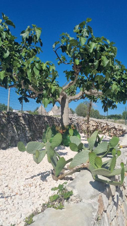I Trulli Dei Nonni Evelin Βίλα Μαρτίνα Φράνκα Εξωτερικό φωτογραφία