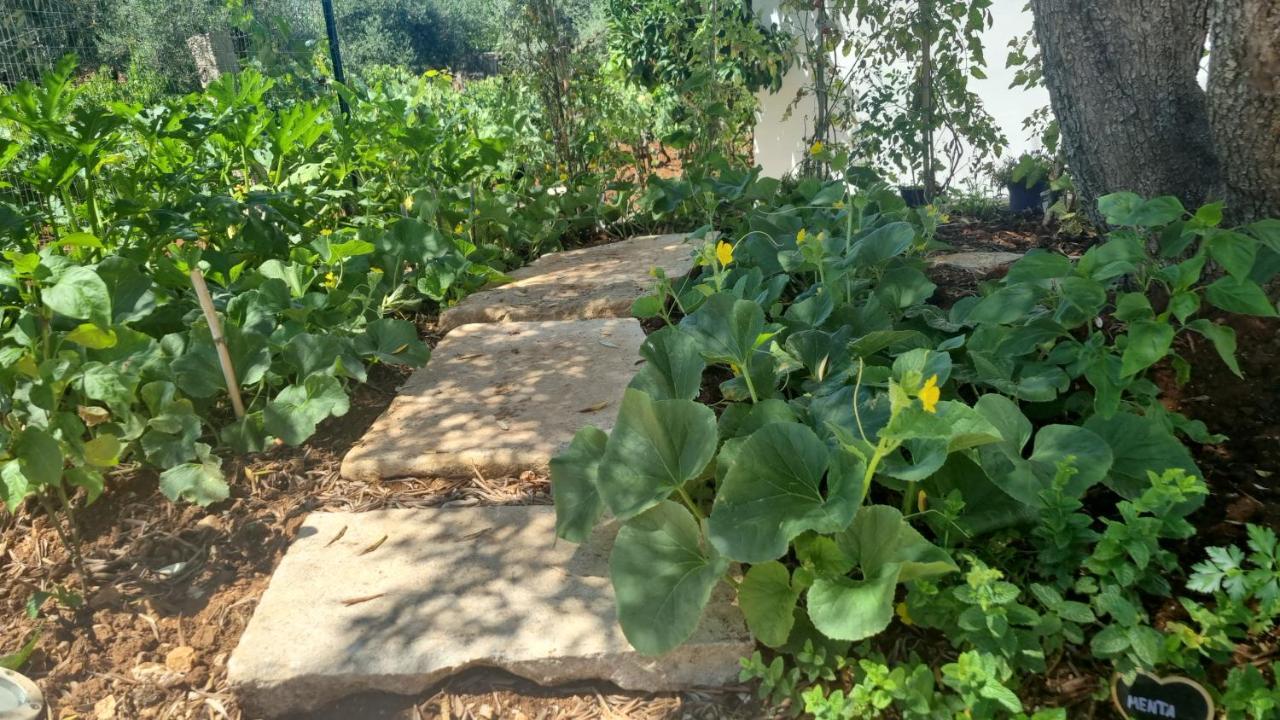 I Trulli Dei Nonni Evelin Βίλα Μαρτίνα Φράνκα Εξωτερικό φωτογραφία